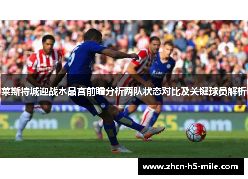 莱斯特城迎战水晶宫前瞻分析两队状态对比及关键球员解析 莱斯特城迎战水晶宫前瞻分析两队状态对比及关键球员解析