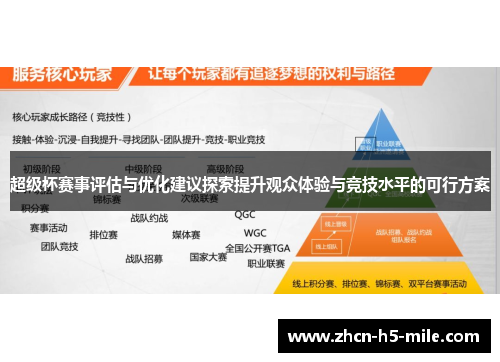 超级杯赛事评估与优化建议探索提升观众体验与竞技水平的可行方案