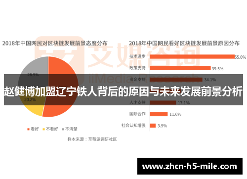 赵健博加盟辽宁铁人背后的原因与未来发展前景分析