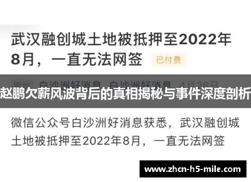 赵鹏欠薪风波背后的真相揭秘与事件深度剖析