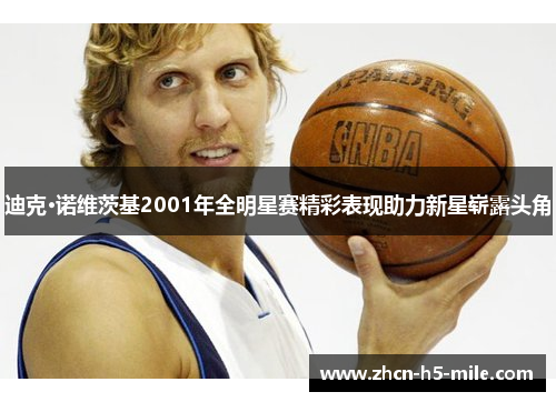 迪克·诺维茨基2001年全明星赛精彩表现助力新星崭露头角