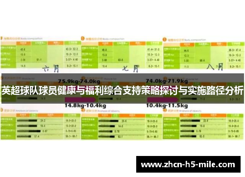 英超球队球员健康与福利综合支持策略探讨与实施路径分析