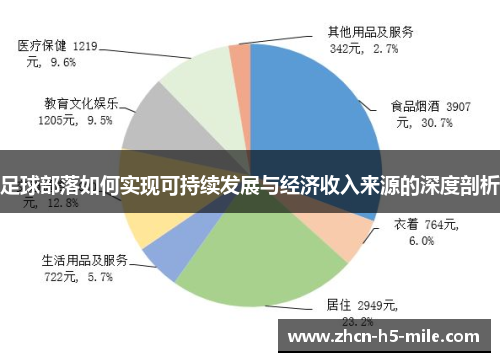 足球部落如何实现可持续发展与经济收入来源的深度剖析