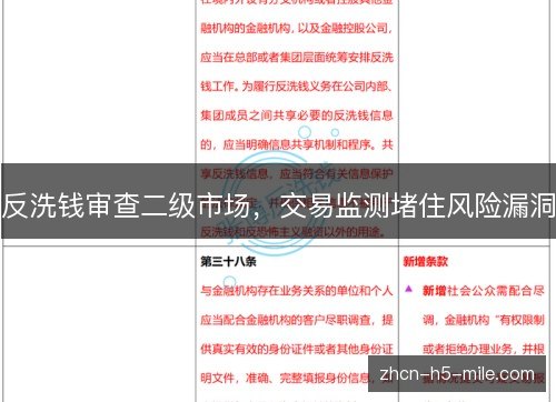 反洗钱审查二级市场,交易监测堵住风险漏洞 反洗钱审查二级市场,交易监测堵住风险漏洞